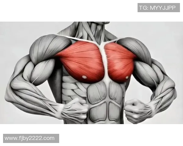 在家轻松锻炼哑铃练胸肌的全套视频教程分享